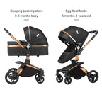 3-in-1 Convertible Baby Stroller